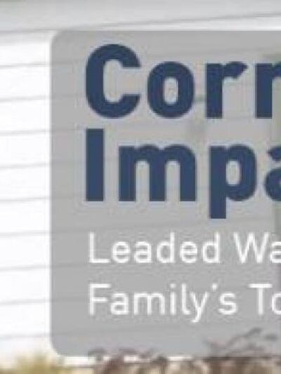 Corrosive Impact graphic with a woman's face on the left side