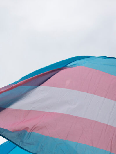 Trans Flag Image
