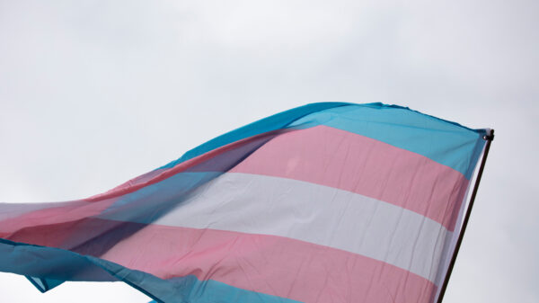 Trans Flag Image
