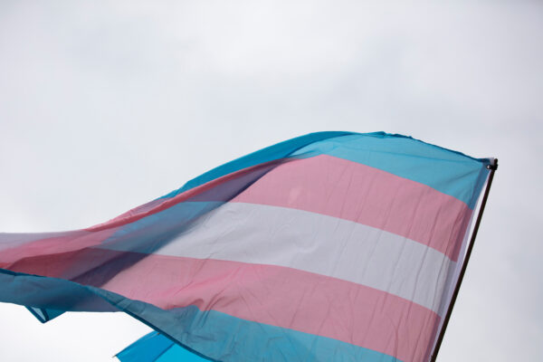 Trans Flag Image