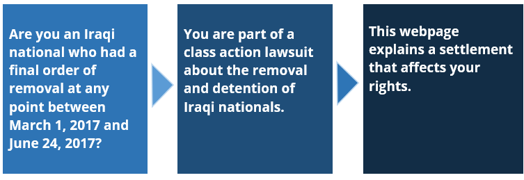 iraqi national