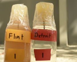 Flint Water Crisis