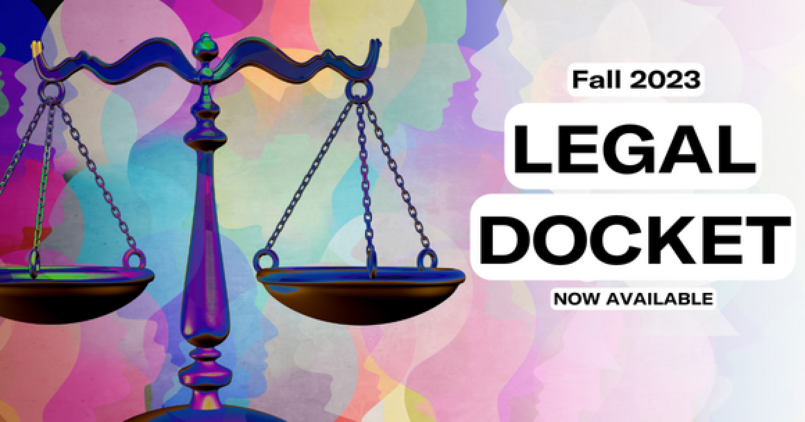 legal docket