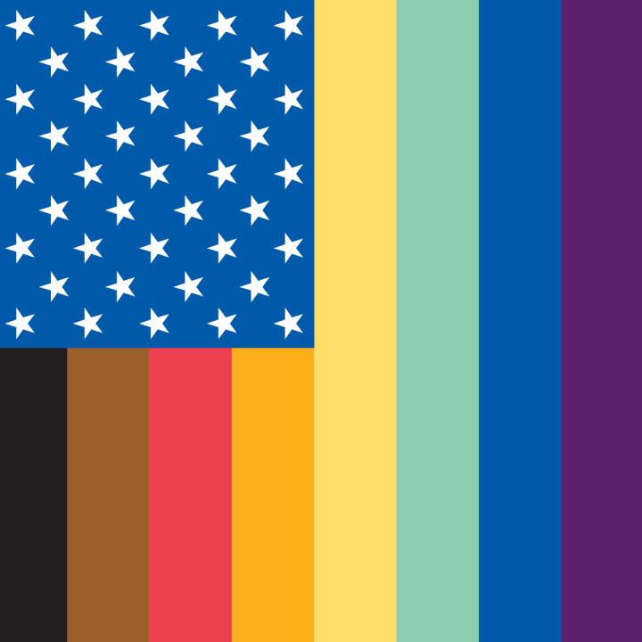 ACLU Pride Flag