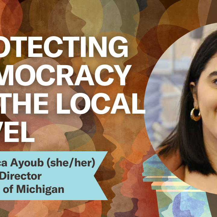 Protecting Democracy at the local level