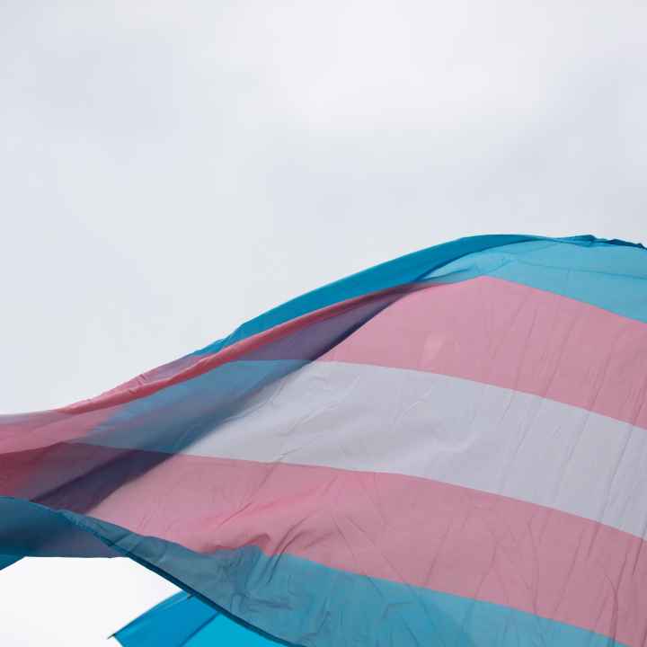 Trans Flag Image